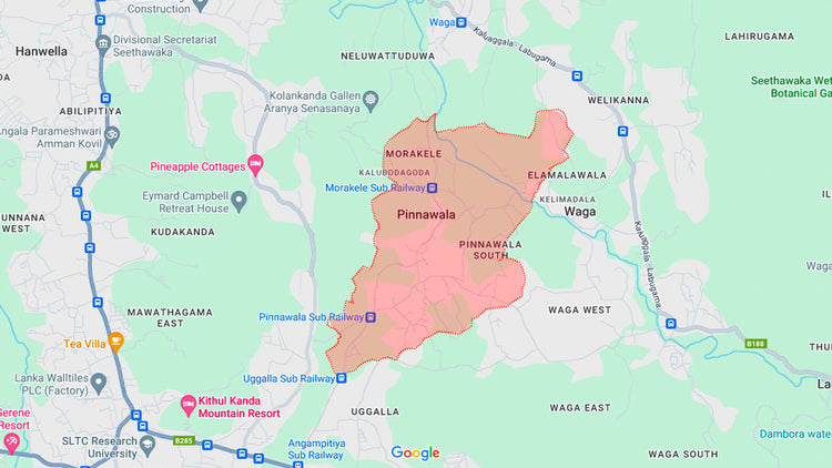 Pinnawala Accommodation Transfers