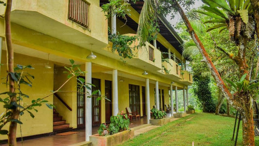 Blue Magpie Lodge Sinharaja, Ratnapura