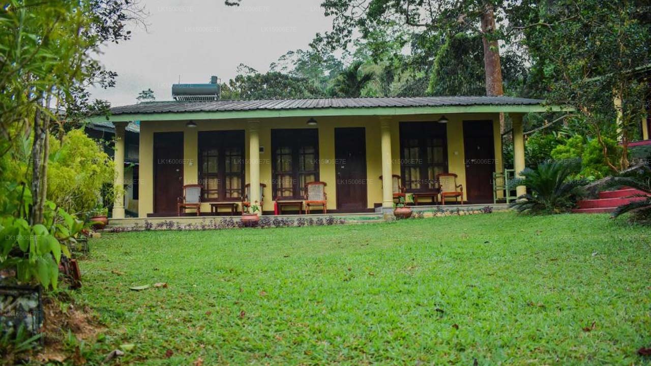 Blue Magpie Lodge Sinharaja, Ratnapura