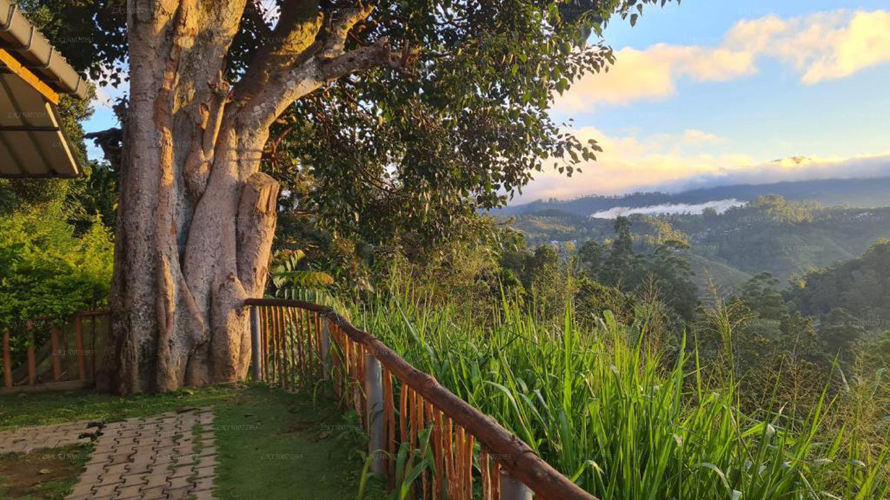 Rainbow Sky Cottage, Ella