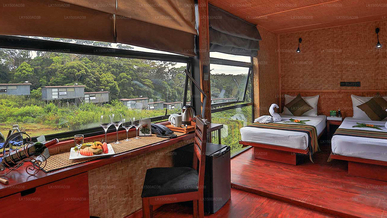 Rainforest Ecolodge, Sinharaja