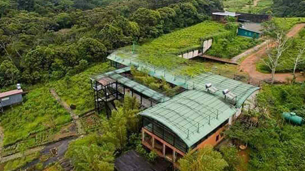 Rainforest Ecolodge, Sinharaja