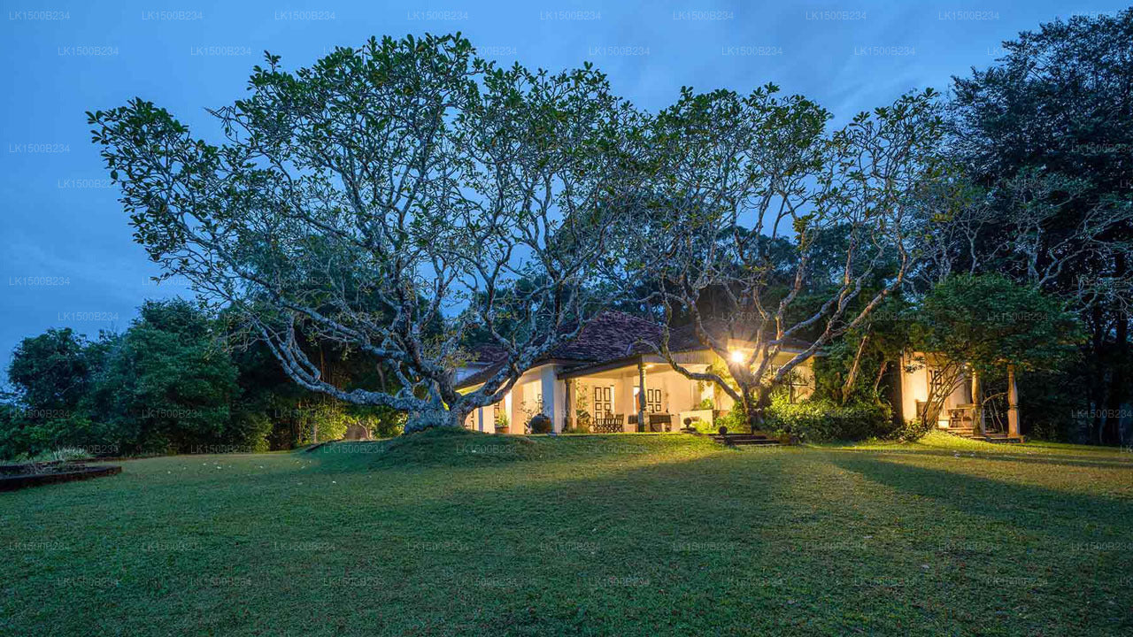 Lunuganga Country Estate, Bentota