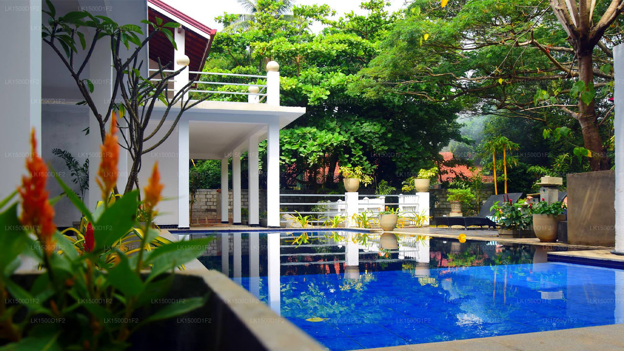 Serendib Village Guest House, Negombo