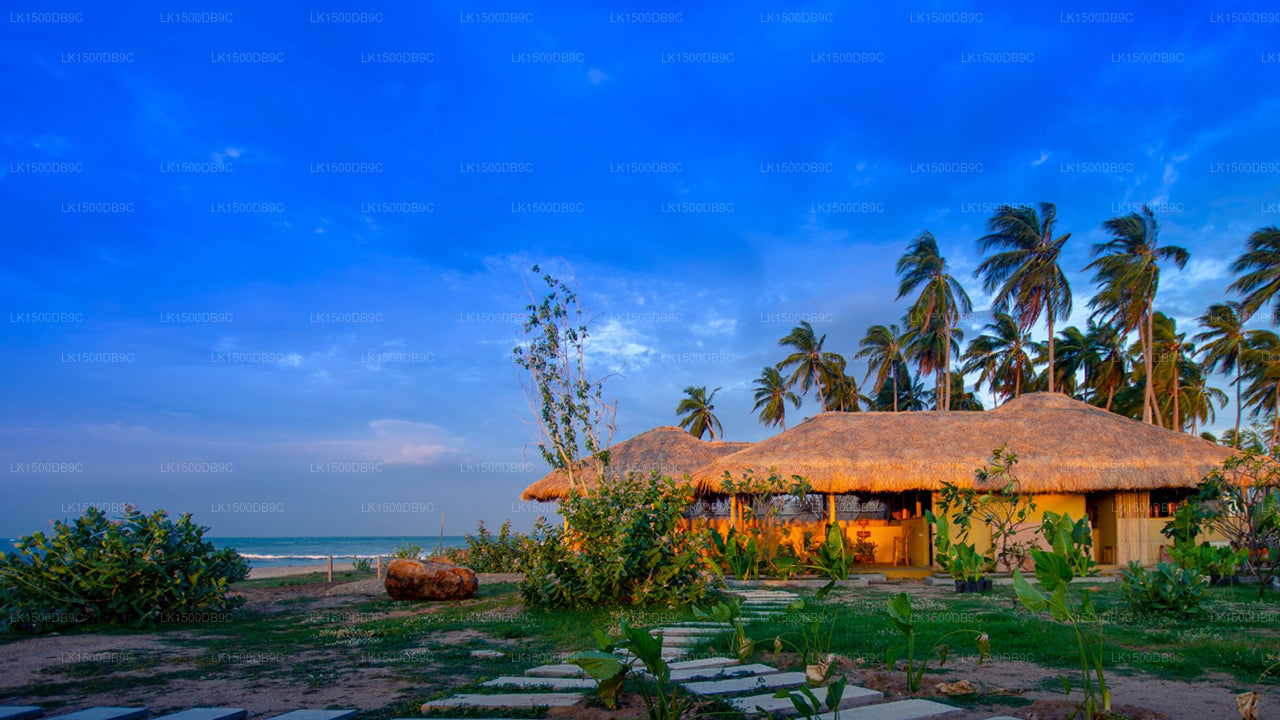 Blue Waters, Arugam Bay