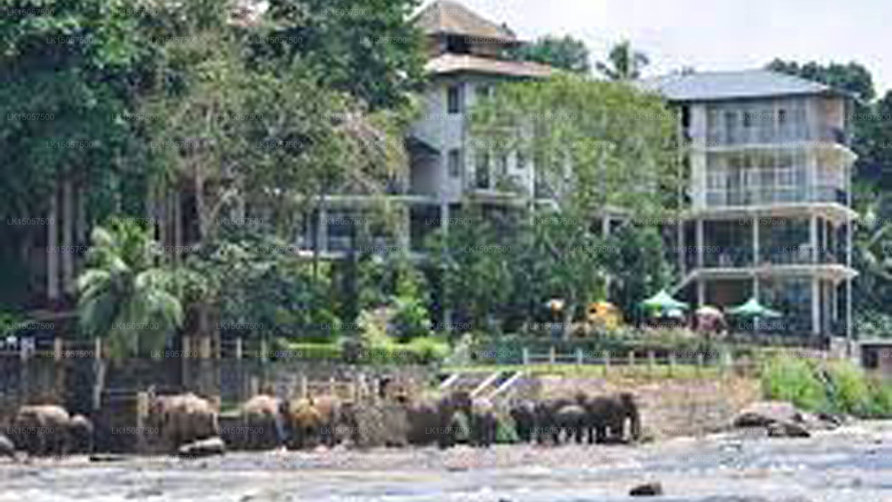 Hotel Elephant Park, Pinnawala