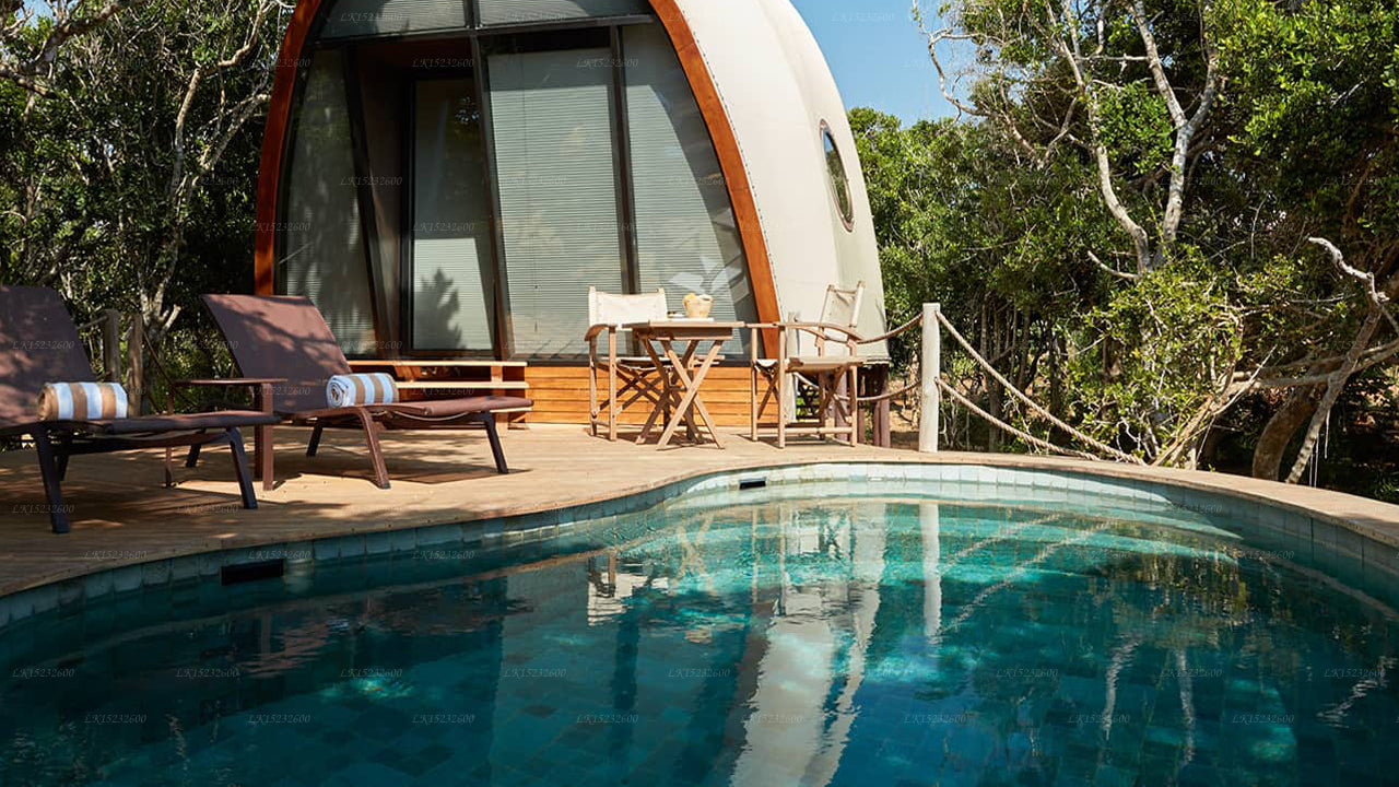 Wild Coast Tented Lodge, Yala