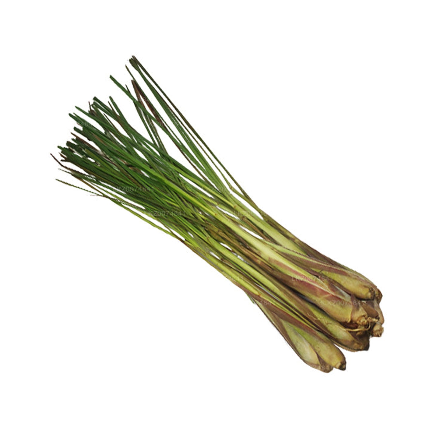 Fresh Lemongrass (සේර)