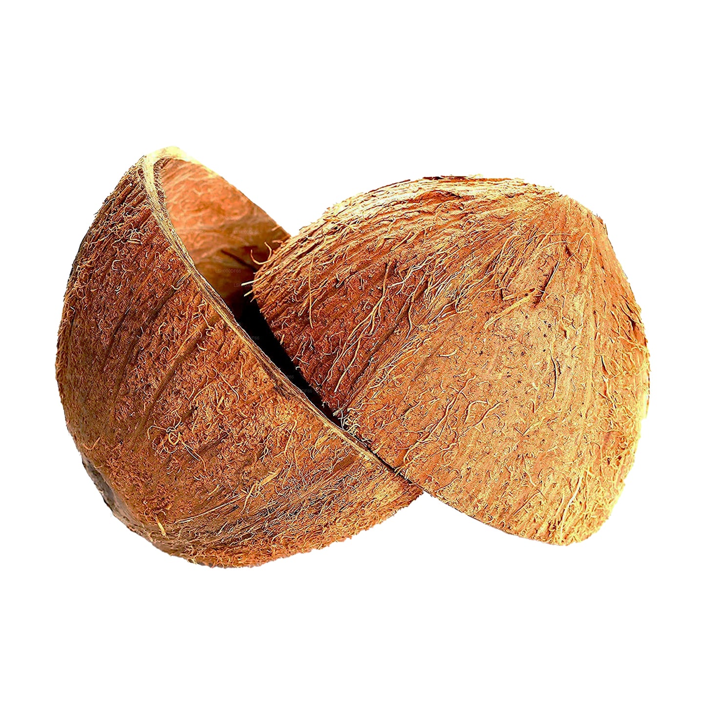 Lakpura Coconut Shell Halves