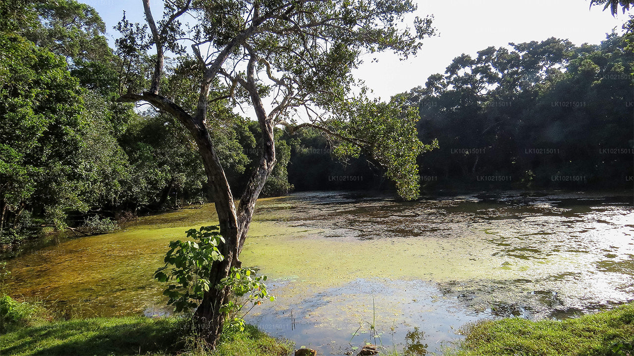 Wild Wonders and Sacred Spaces Tour from Galle (2 Days)