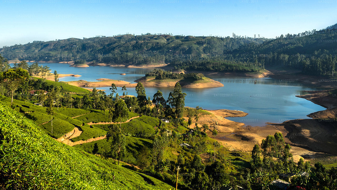 Highland Glory from Kandy (2 Days)