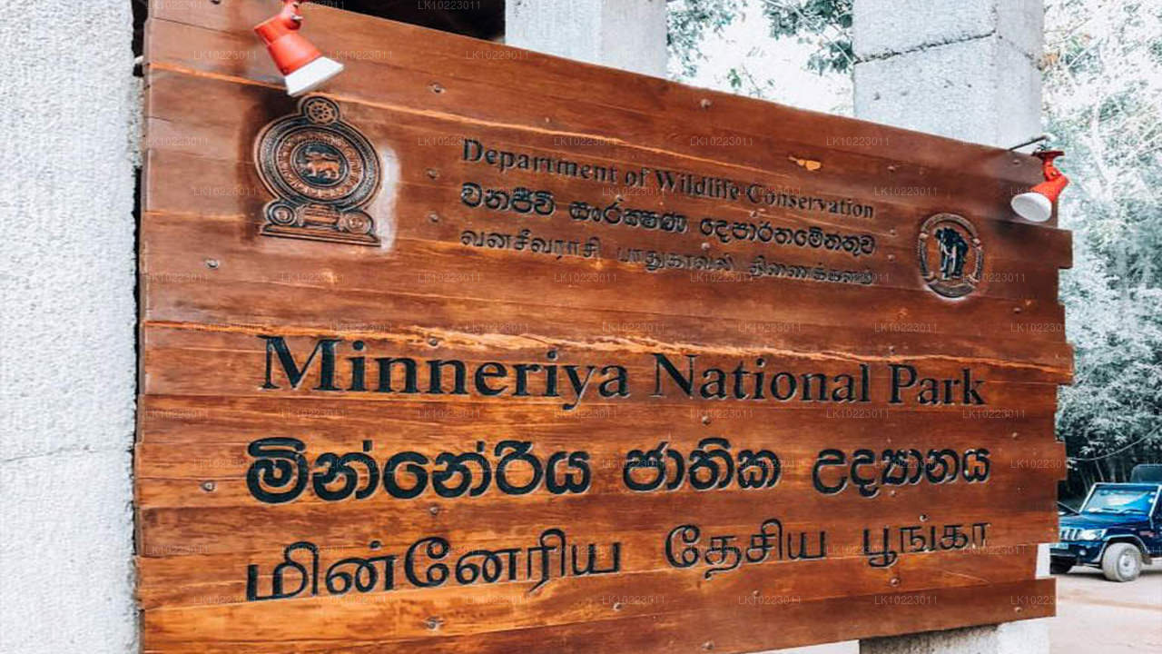 Sigirya and Minneriya from Negombo (2 Days)