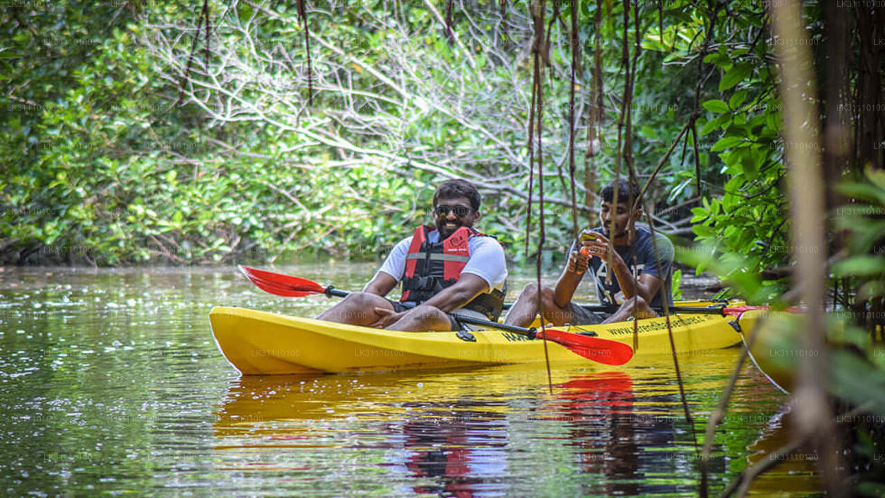 Kayaking from Hikkaduwa