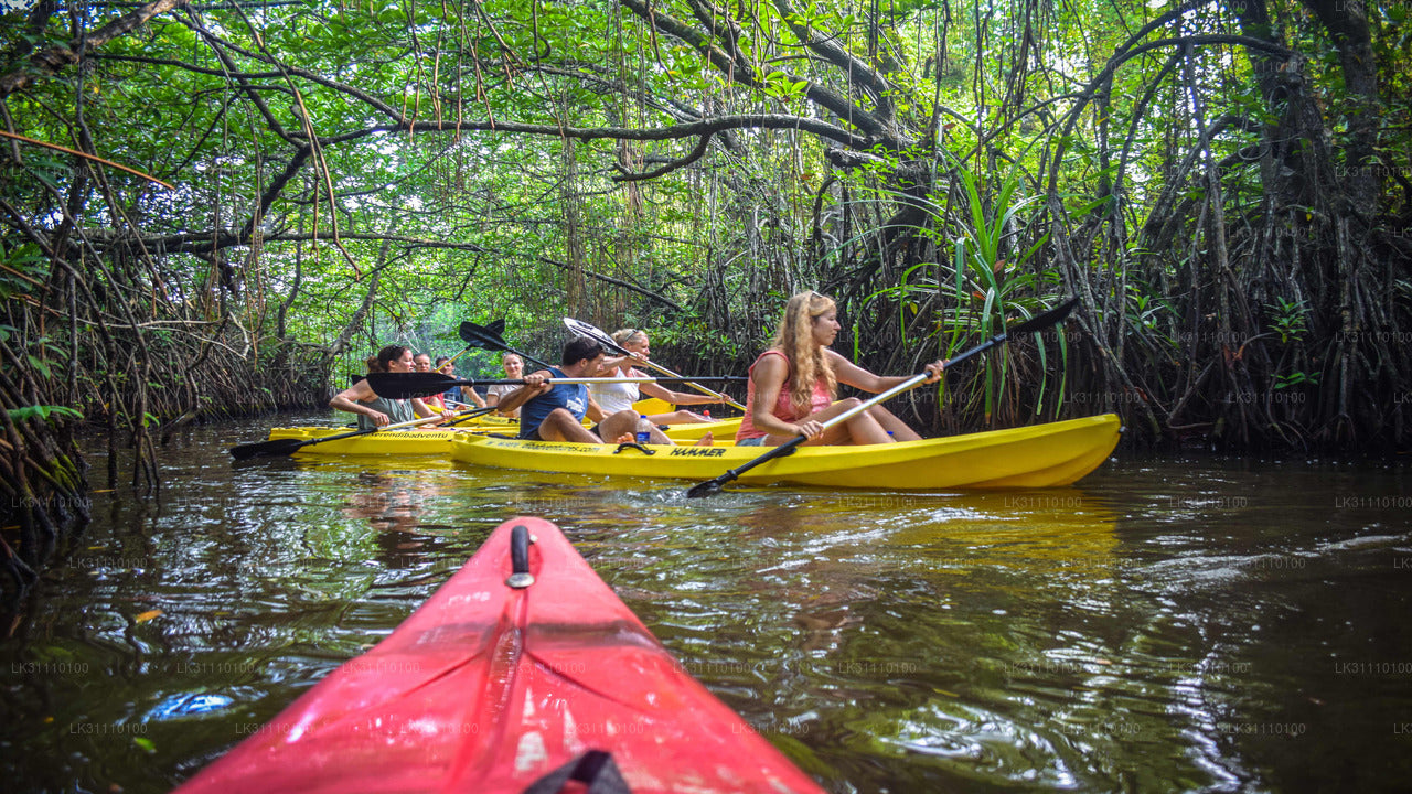 Kayaking from Hikkaduwa