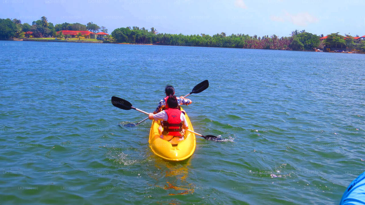 Kayaking from Bolgoda Lake