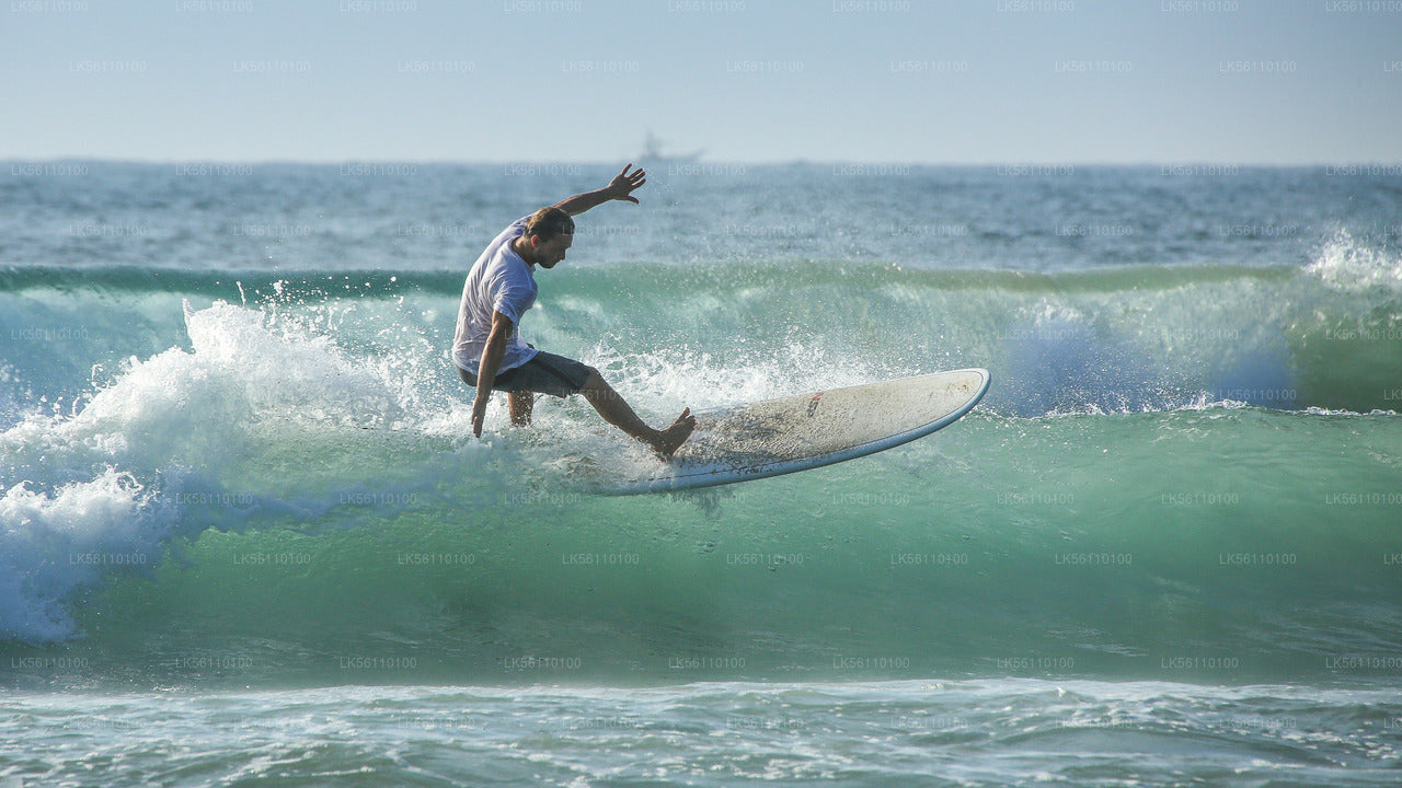 Surfing from Hikkaduwa