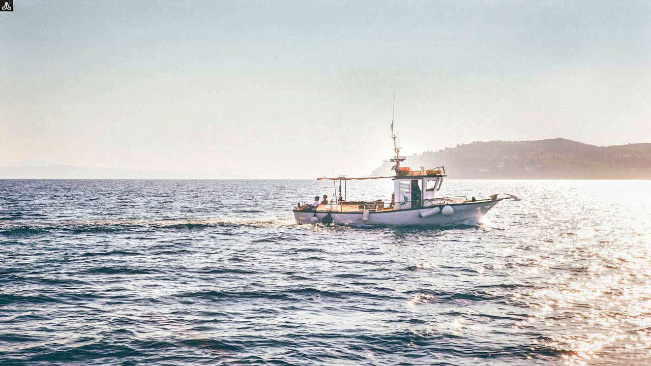 Deep Sea Fishing Boat Tour from Hikkaduwa