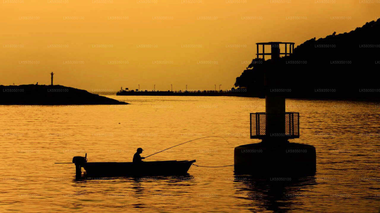 Lake Fishing from Tissamaharama