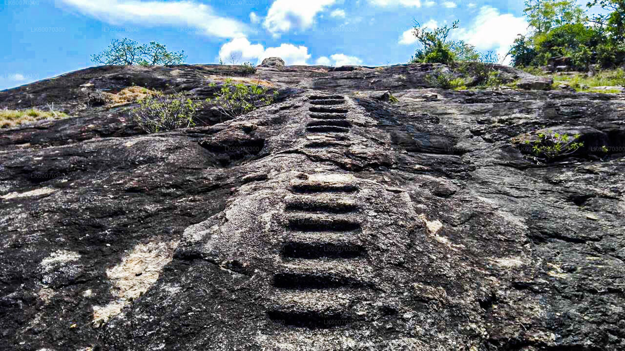 Temple Run Tour from Arugambay