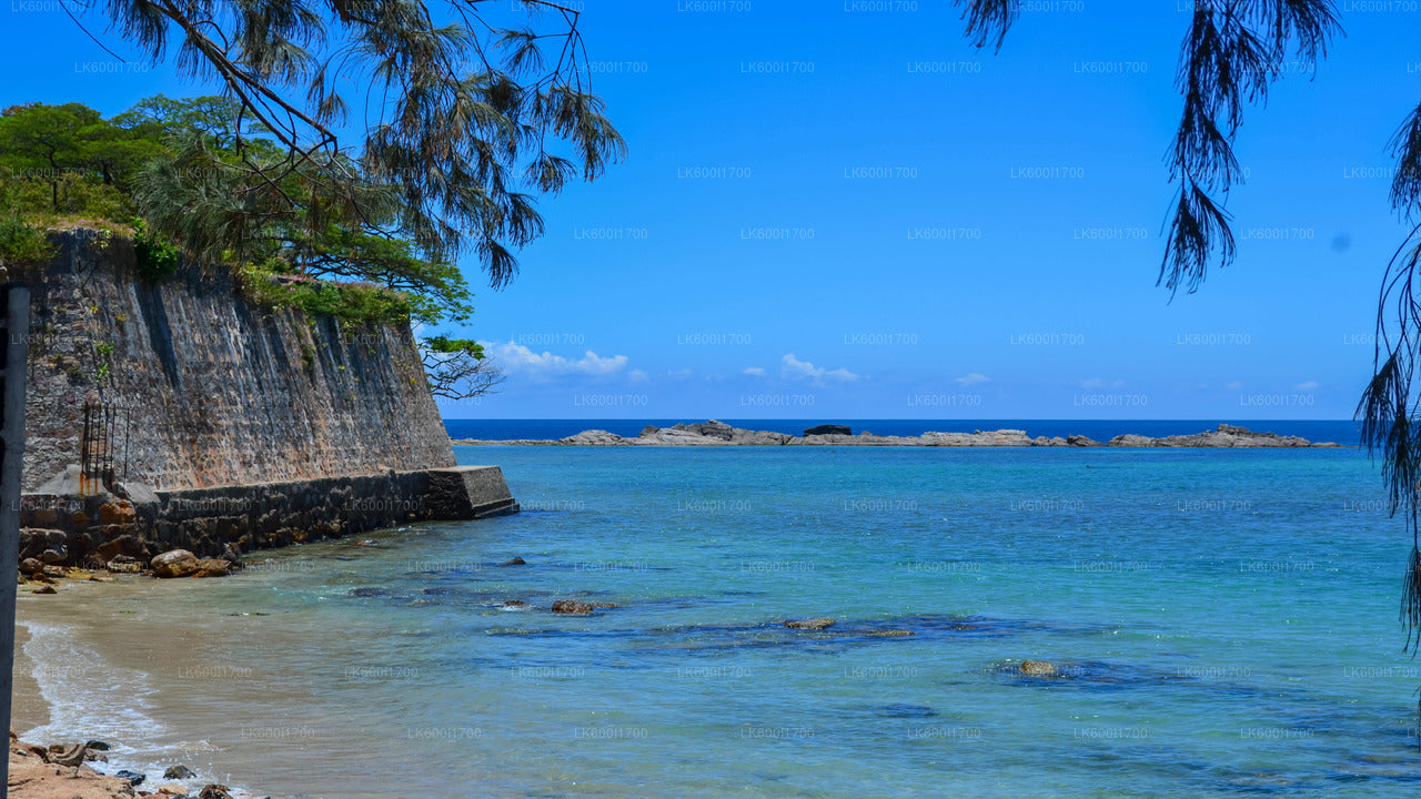 Trincomalee City Tour from Dambulla