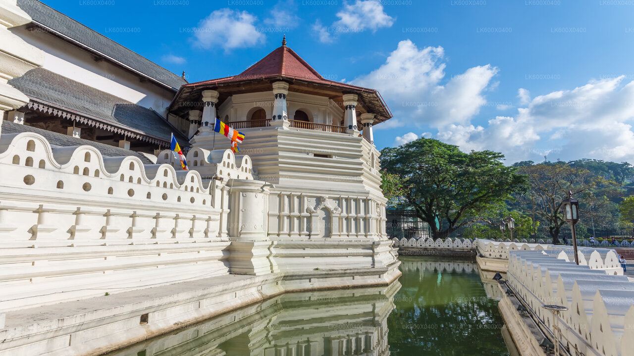 Kandy City Tour from Hikkaduwa