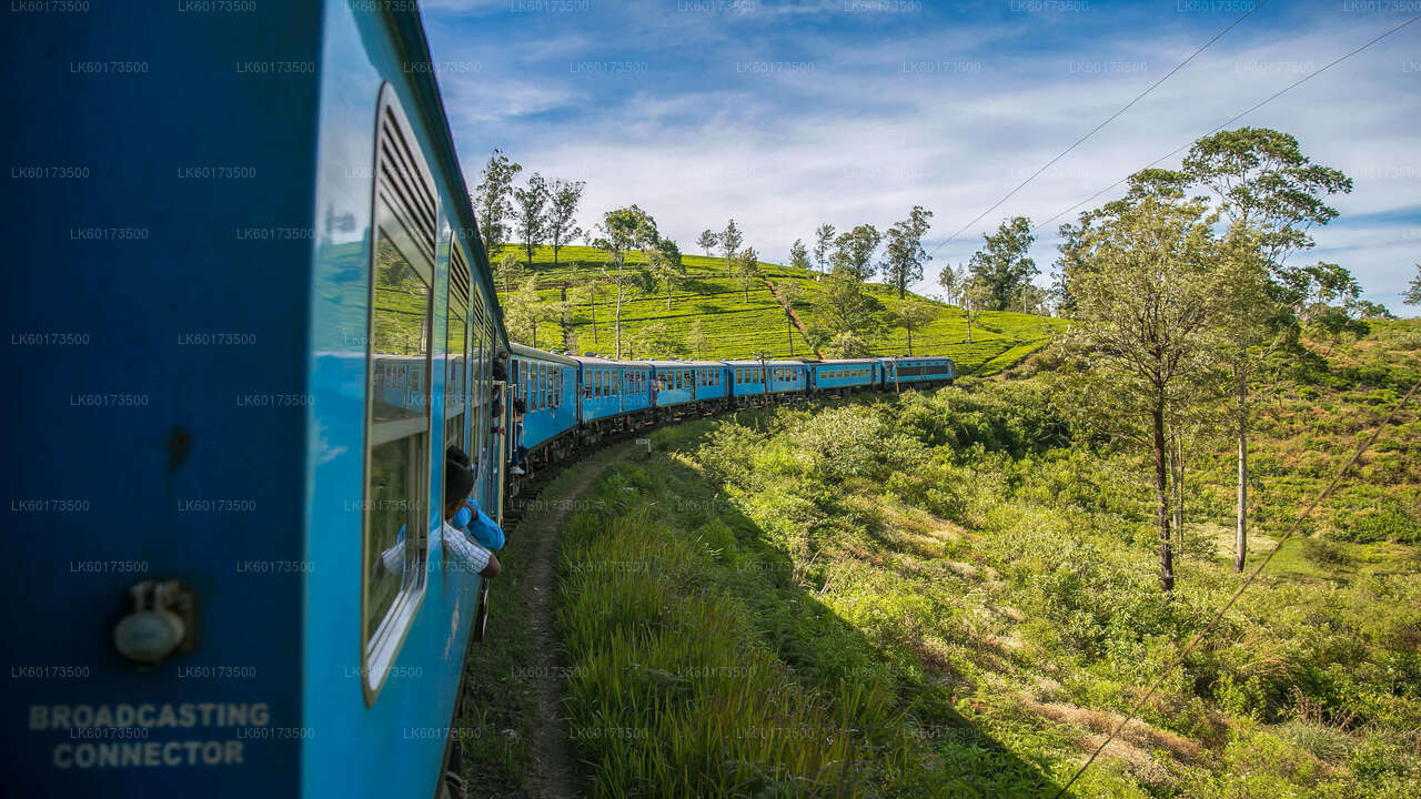 Scenic Train Ride to Ella from Kandy