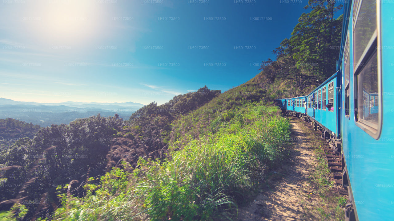 Scenic Train Ride to Ella from Kandy