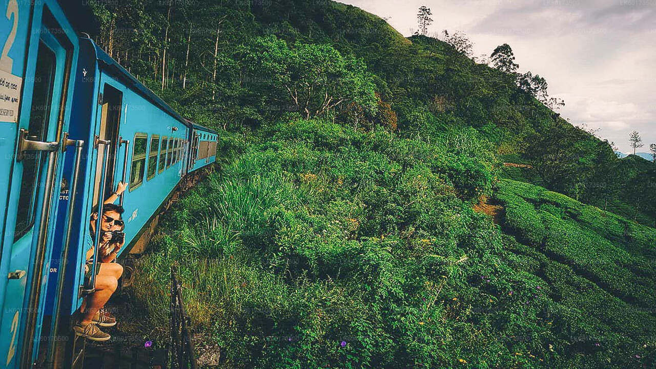 Scenic Train Ride to Ella from Kandy