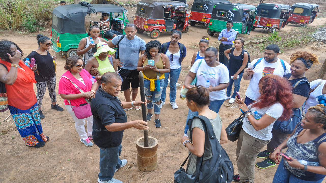 Sigiriya Village Tour from Negombo