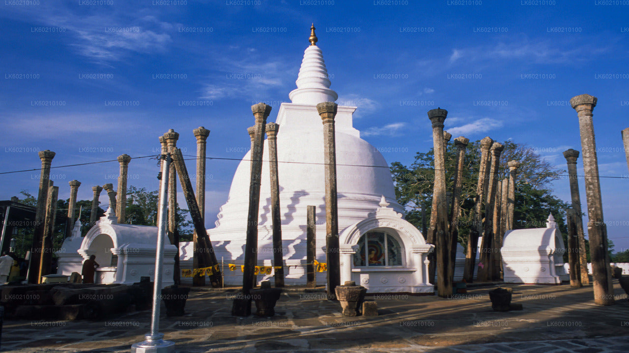 Sacred City of Anuradhapura from Sigiriya