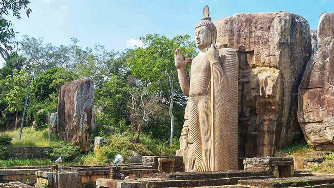 Sacred City of Anuradhapura from Sigiriya