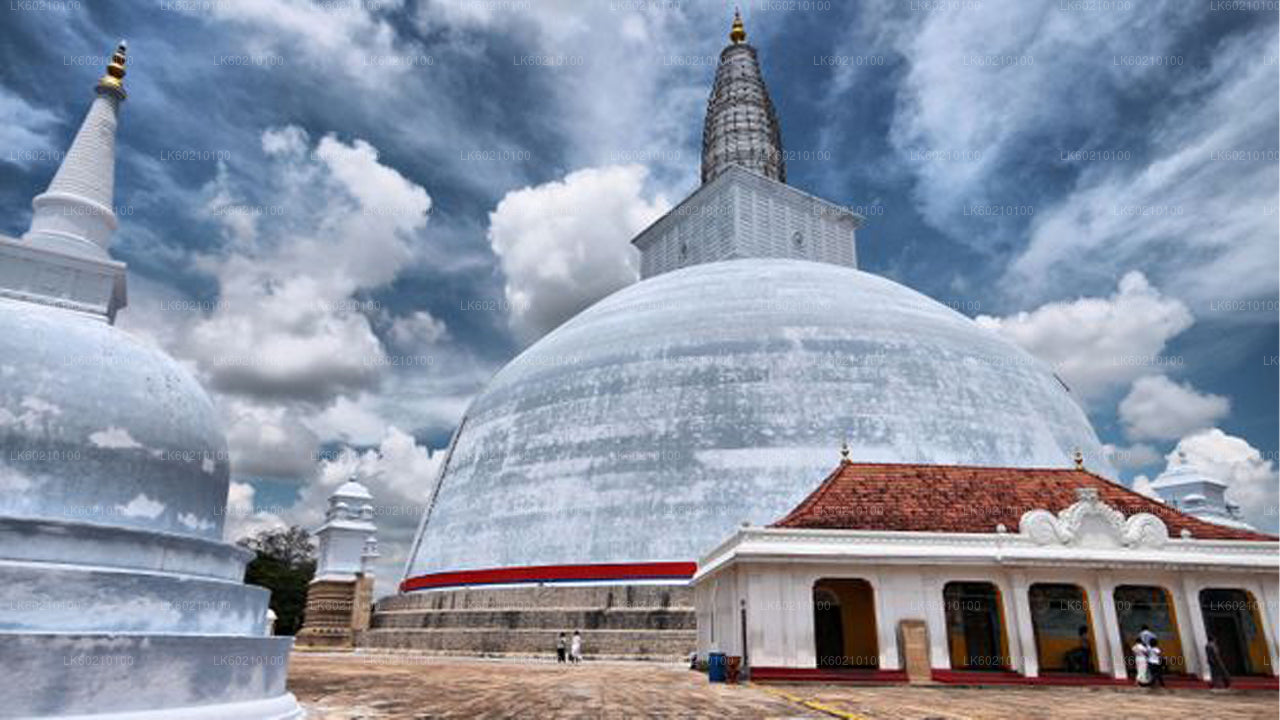 Sacred City of Anuradhapura from Sigiriya