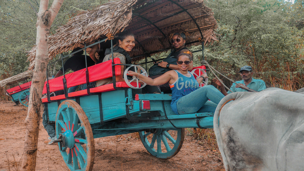 Sigiriya Village Tour and Lunch from Sigiriya