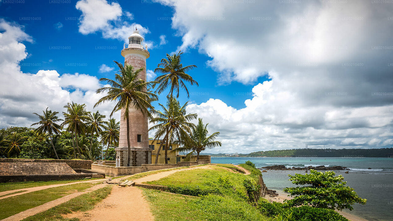 Southern Coast Highlights from Tangalle