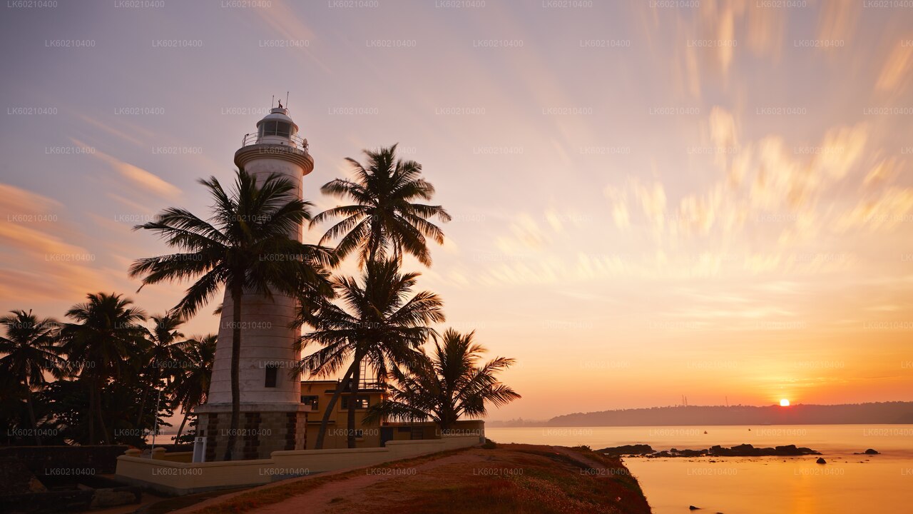 Southern Coast Highlights from Tangalle