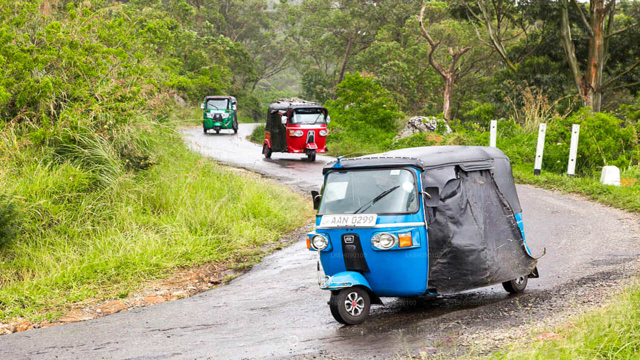 Tuk Tuk Adventure from Ella