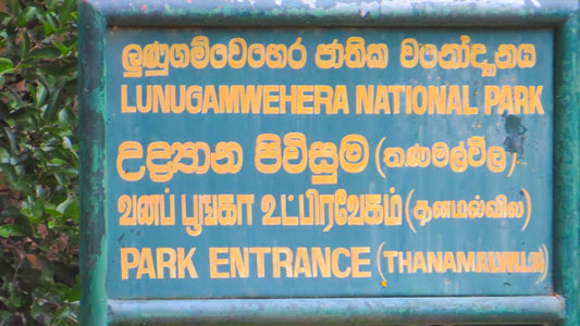 Lunugamvehera National Park Entrance Tickets