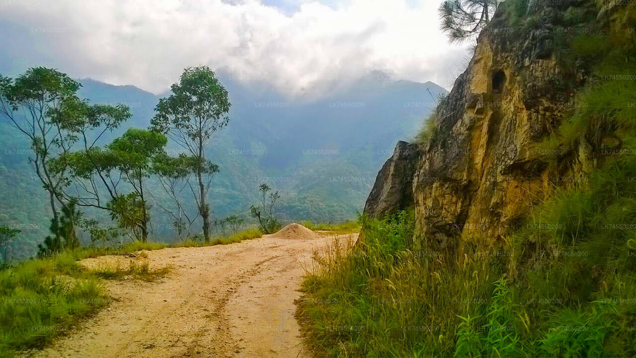 Devil's Staircase Hike from Ohiya