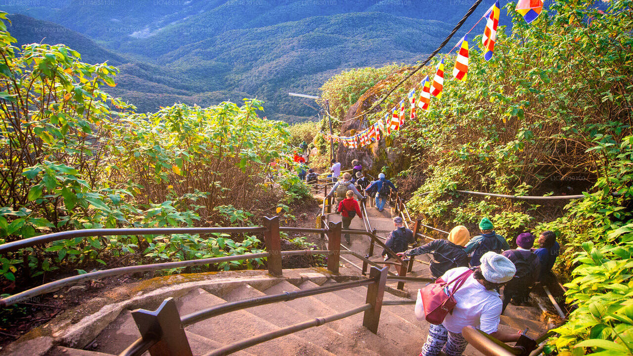 Night Hike to Adam's Peak