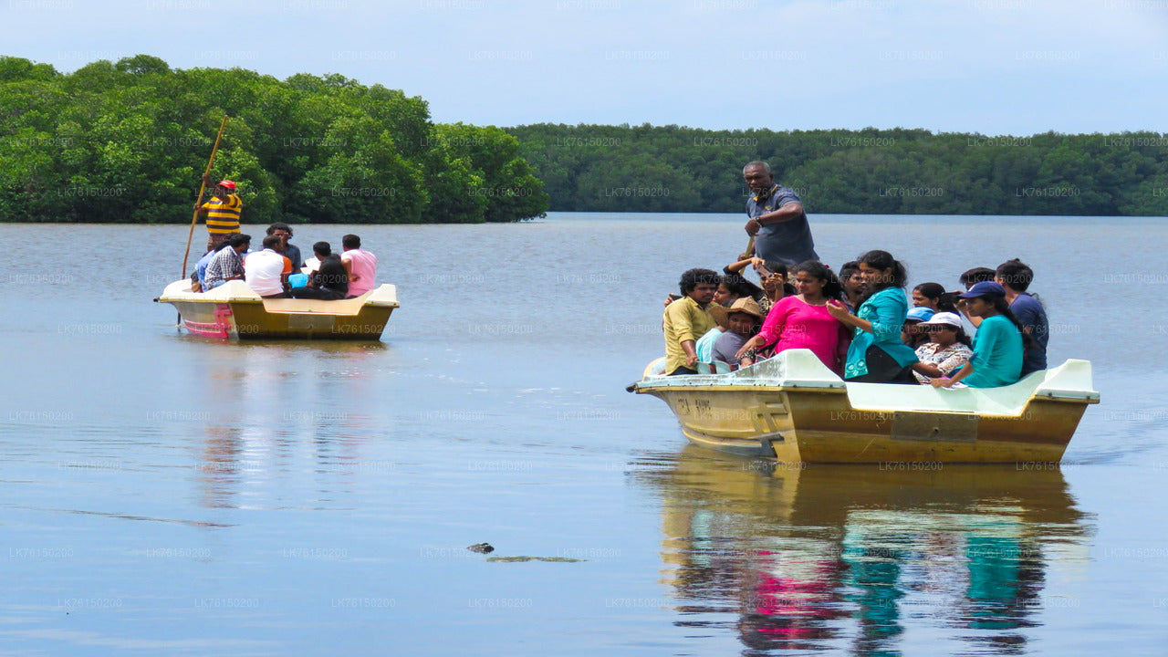 Mangrove Forest Boat Tour from Kalpitiya