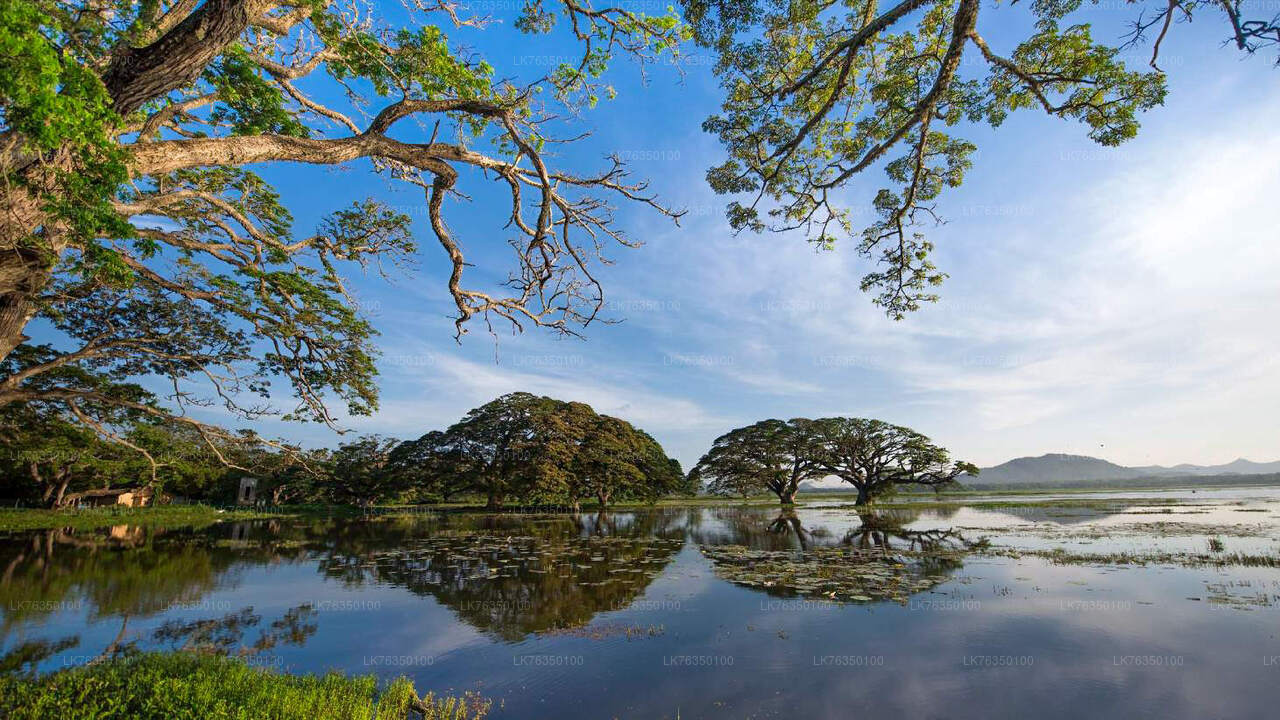 Boat Ride at Tissamaharama Lake