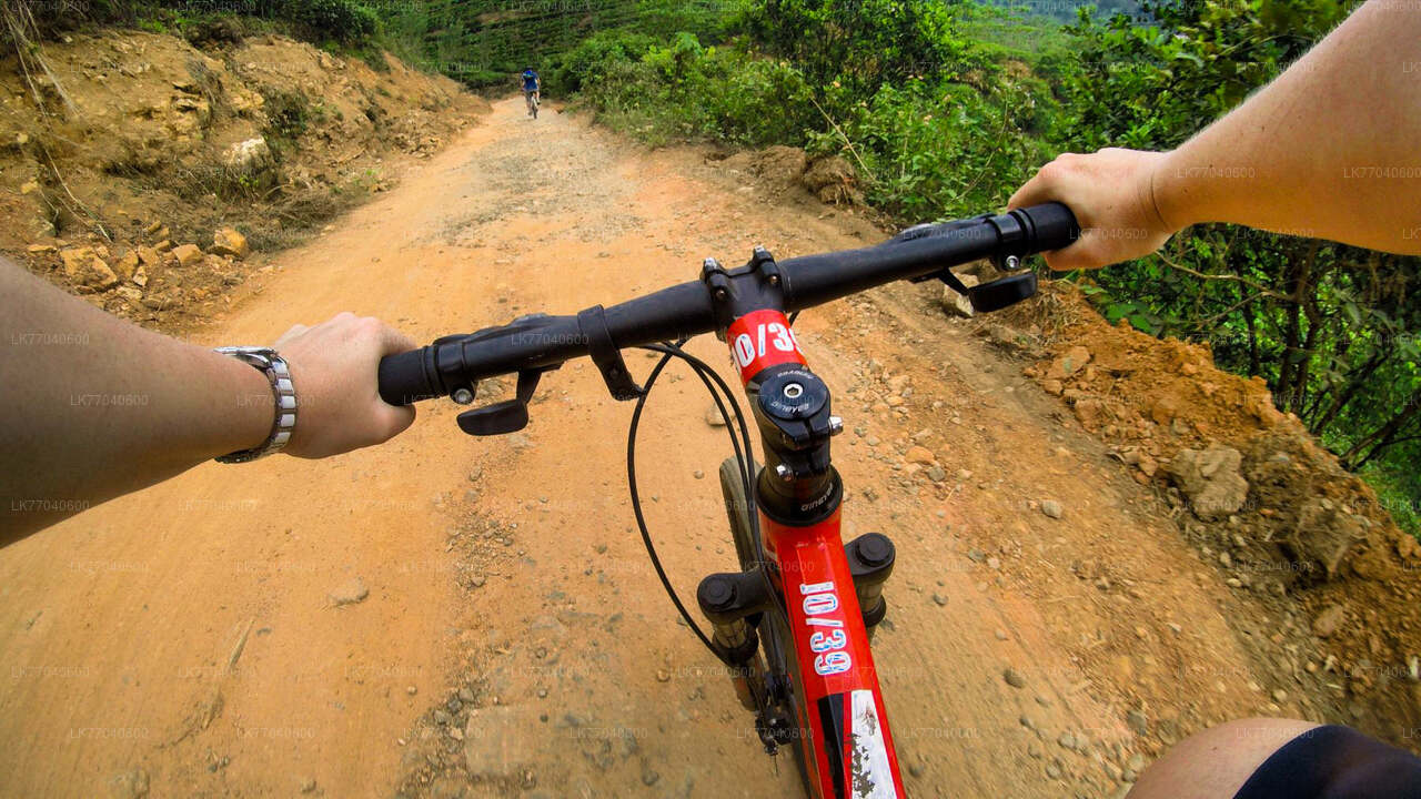 Morning Sports Cycling from Galle