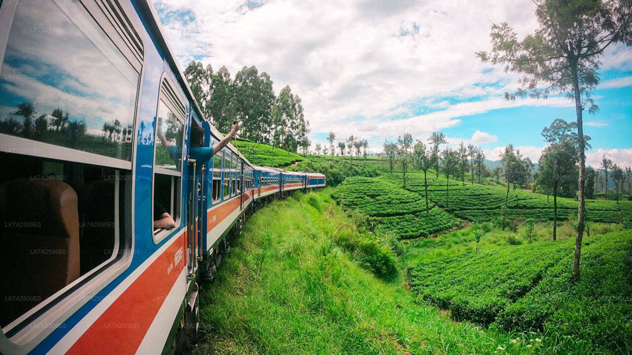 Peradeniya to Ella train ride on (Train No: 1001 "Denuwara Menike")