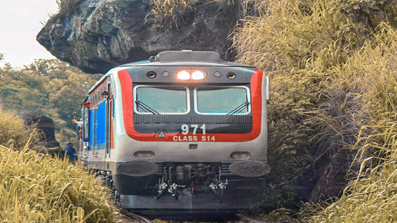 Peradeniya to Badulla train ride on (Train No: 1001 "Denuwara Menike")