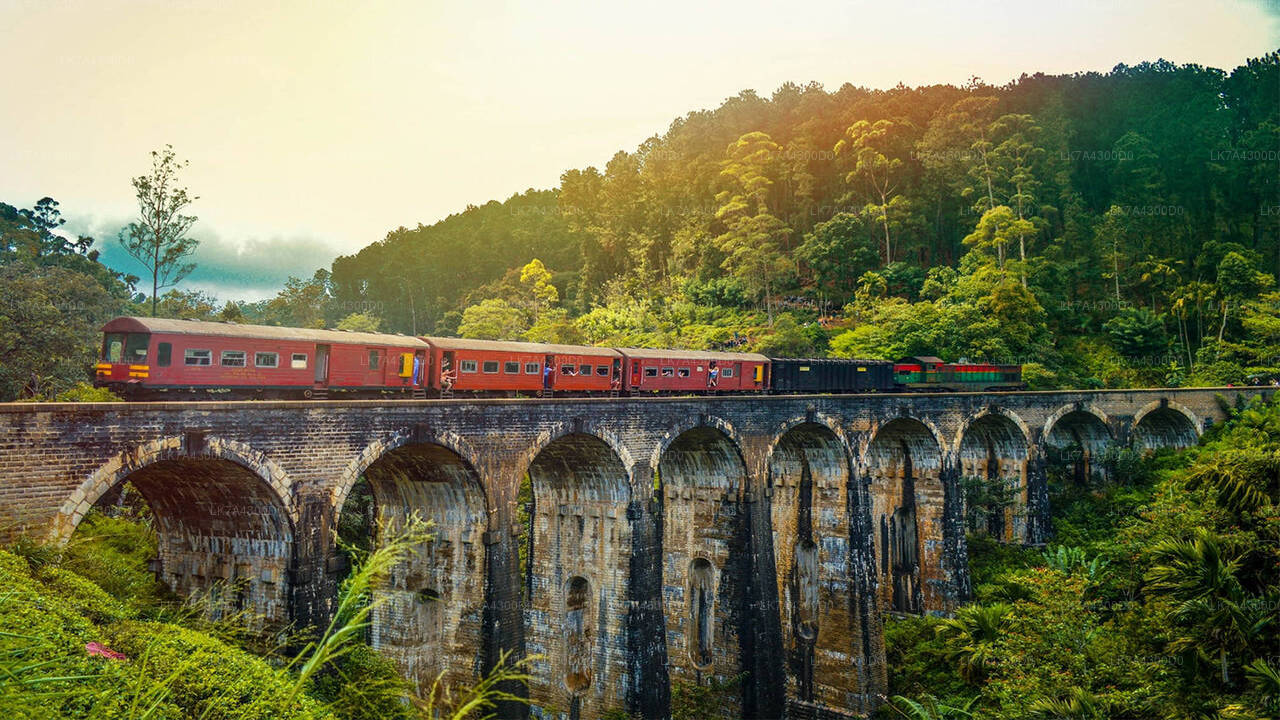 Nanu Oya to Kandy train ride on (Train No: 1016 "Udarata Menike")