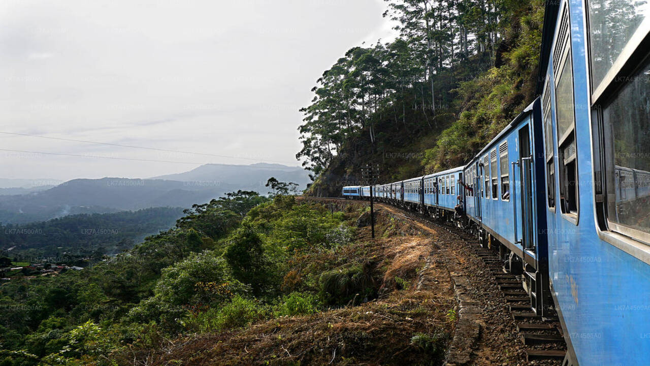 Nanu Oya to Ella train ride on (Train No: 1005 "Podi Menike")