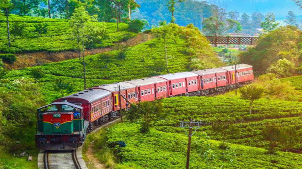 Badulla to Nanu Oya train ride on (Train No: 1016 "Udarata Menike")