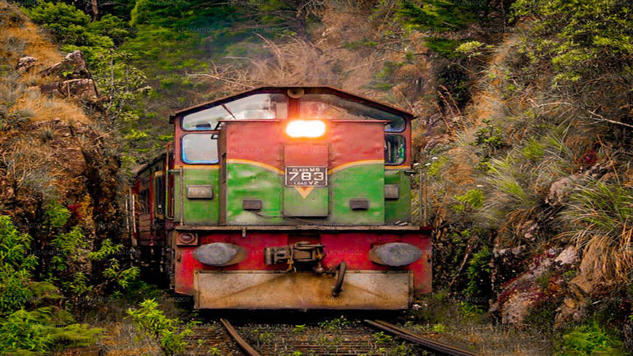 Badulla to Nanu Oya train ride on (Train No: 1016 "Udarata Menike")