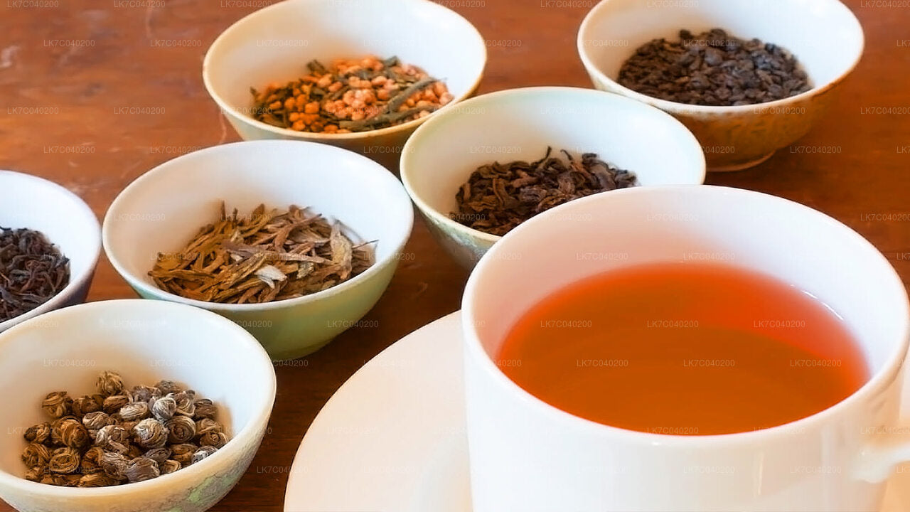 Ceylon Tea Tasting from Galle