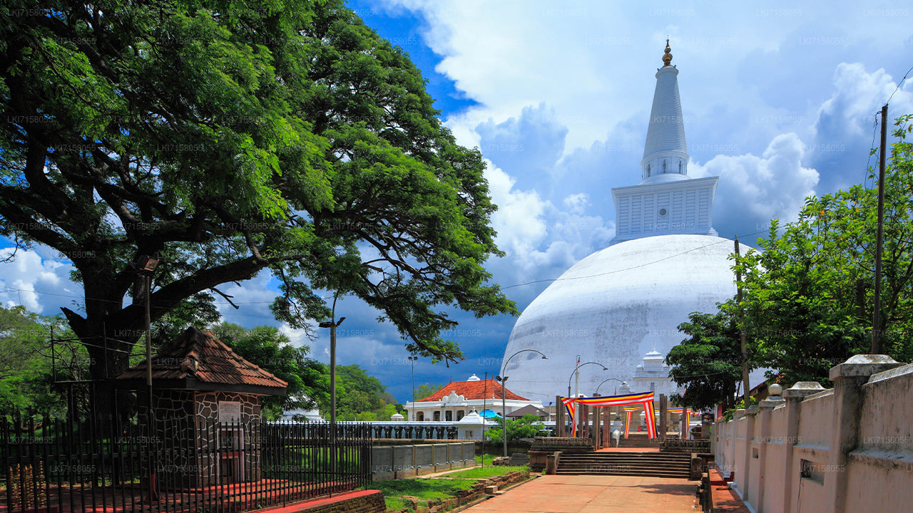 Spiritual Experience from Anuradhapura